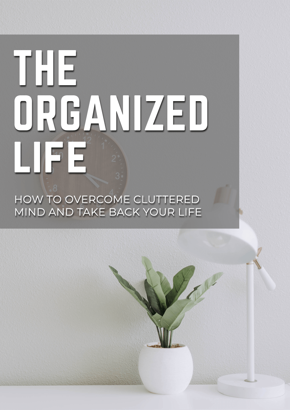 The Organized Life